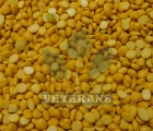 Bengal Gram