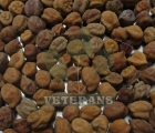 Garbanzo Beans