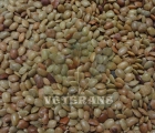 Horse Gram