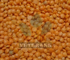 Masoor Dal