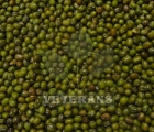 Moong Dal