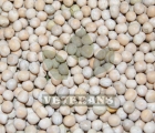 White Peas