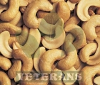 Cashew Nuts Splits