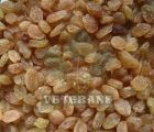 Dry Grapes(Kismis)