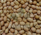 Ground Nuts