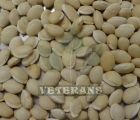 Broad Beans