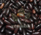Rajma Beans