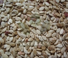 Watermelon Seeds