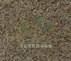Cumin