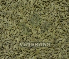 Fennel Seeds