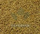 Fenugreek