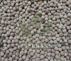 White Pepper